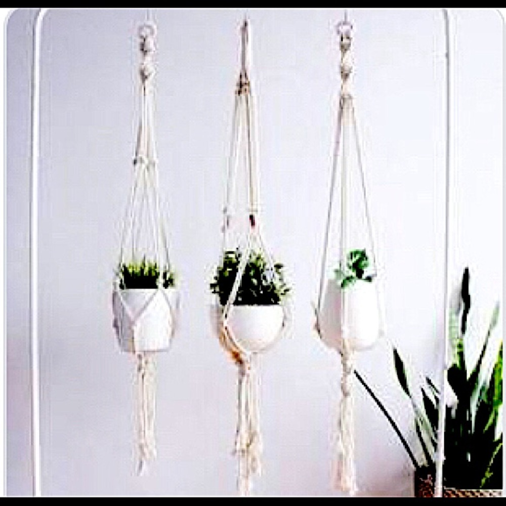 Hanging plant